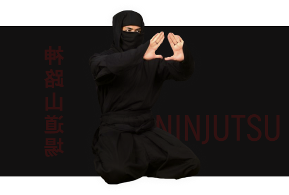 Ninjutsu